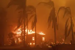 LA Wildfire Survivors Erupt Over Proposed CBS Sitcom Set Amid Eaton Fire Aftermath