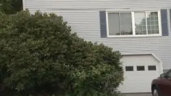2-year-old in critical condition after falling from window in Worcester