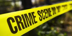 DeKalb Police investigating after dead dogs dumped in Henderson Park